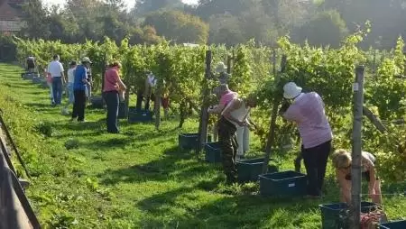 Mintegy hetvenezer új munkahely jött létre a mezőgazdaságban az elmúlt 7-8 évben