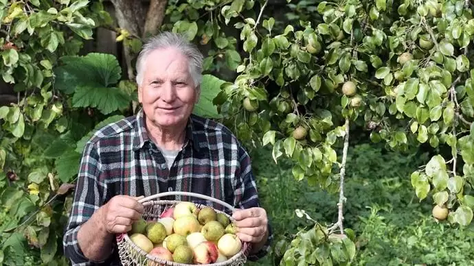 Brexit – a svájci támogatási rendszer hasznos, csak drága