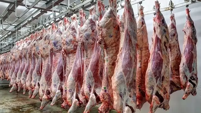 15 milliárd forint beruházási támogatásra 