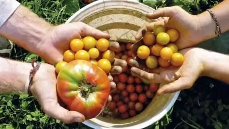 Dinamikusan nőnek a biofarmok