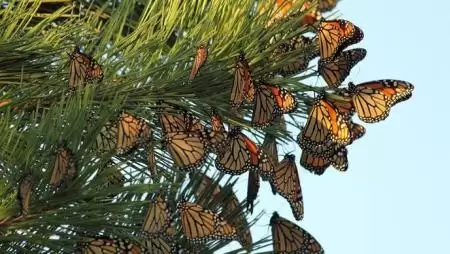 Lassan tényleg egyedül maradunk a Földön