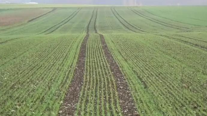 Eláruljuk, hogy lehet GPS-es sorvezetőt helyesen használni! 