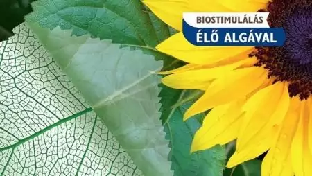 Algafix®, a magyar biostimulátor