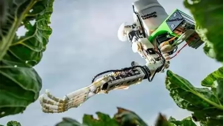 A robot keze is „emberi”