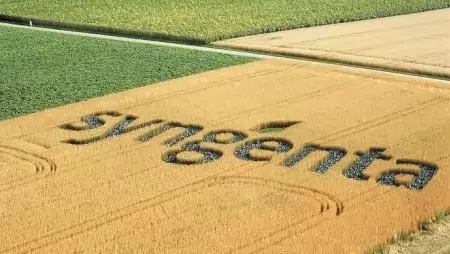 Távérzékelő céggel bővített a Syngenta