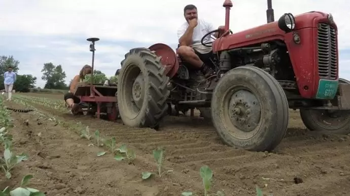 Indiai nagy hal falta fel a szerb kis halat