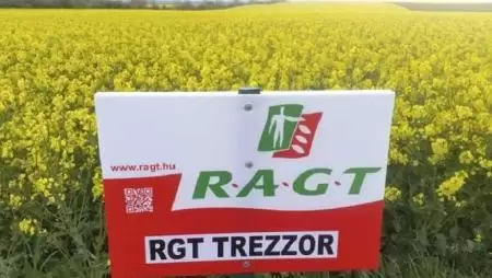 Már nem csak kukoricában vagyunk jók