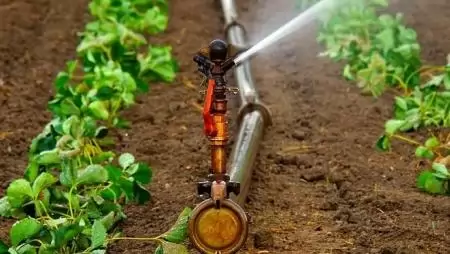 Akadémikusok szerint fenntarthatatlan az EU mezőgazdasági és táplálkozástudományi koncepciója