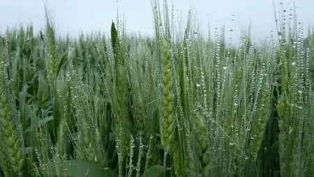 Uniós ipari magatartási kódex készült a termelési adatok megosztásához