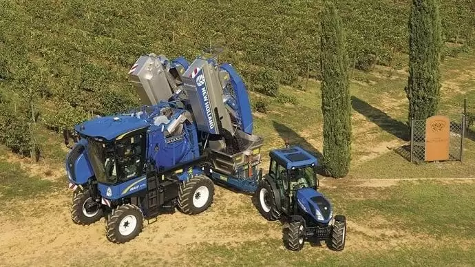 Sietős szüret: 200 tonna szőlő 8 óra alatt