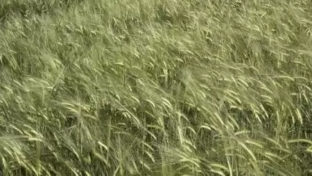 Igényre szabott választék