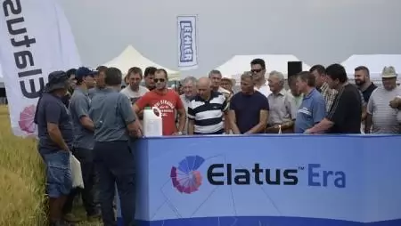 Stressztűrő hibridek, innovatív növényvédelmi megoldások