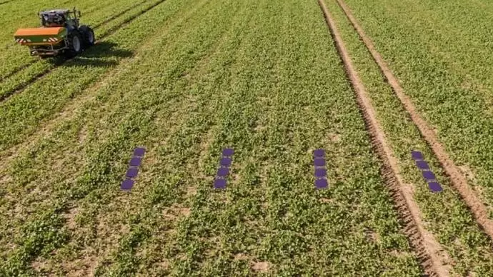 Szóráskép-ellenőrzés egyszerűen, csúcstechnikával
