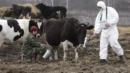 Sugárfertőzött tej is van Ukrajnában