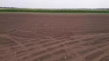 Az agrárkiadásokra közel 206 milliárd forint jut jövőre
