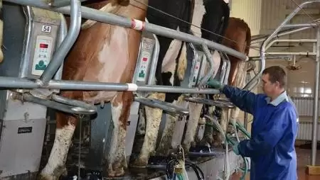 Ez tényleg a tejjel folyó Kánaán