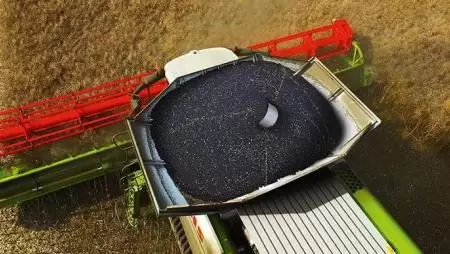 RAPOOL-REPCÉK: DALTON – a trón örököse