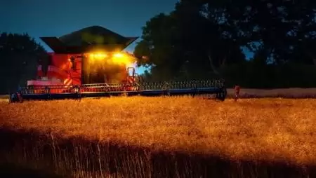 RAPOOL-hibridrepcék terméstanúsítása a Magyar Kukorica Klub mérései alapján (FRISS EREDMÉNYEK)