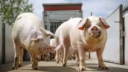 Együtt többre jutnánk