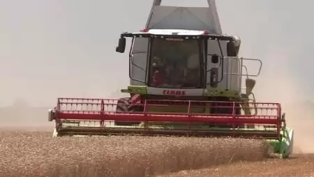 Kelendő a magyar búza Európában