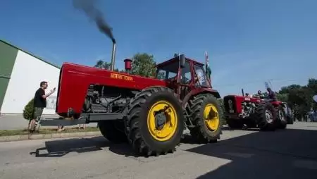 Gőzgéppel csépelnek Hódmezővásárhelyen