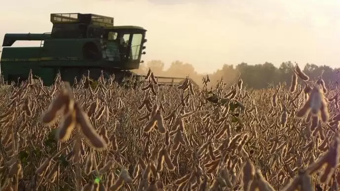 Szójának való idő volt idén