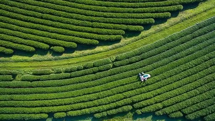 A Corteva Agriscience™ bejelentette új vezetési struktúráját 