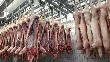 Sose halunk ki: az emberiség egyelőre nem ette meg a Földet