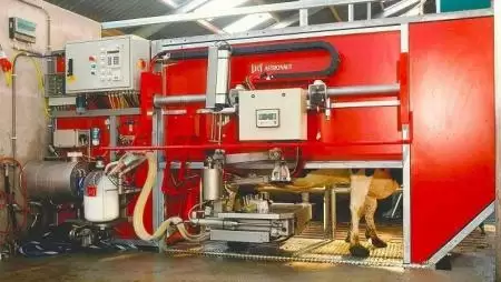 A robotok teremtenek nyugalmat a tehenészetekben