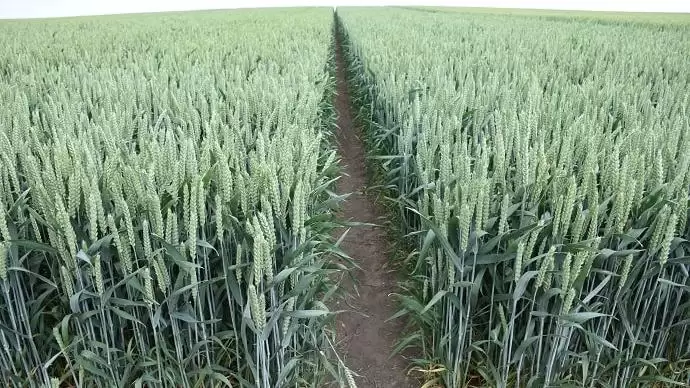 A Közös Agrárpolitika forrásait is a jelenlegi szinten kell megtartani a következő uniós költségvetési időszakban