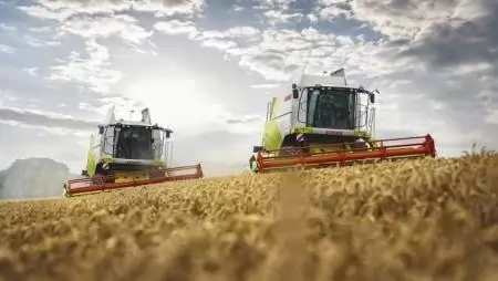 Bizakodó gazdák, folytatódó beruházások