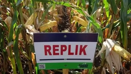 A SAATEN-UNION új hibridjeivel kitör a tömegből