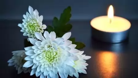 Tőgyi Sándor intézetigazgató (1948-2019) emlékezete