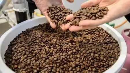 A kávé túl értékes ahhoz, hogy kipusztuljon