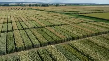 A SAATEN-UNION állásajánlata: Csongrád megyei területi képviselő