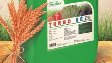 A búza rézigénye és hasznosulása