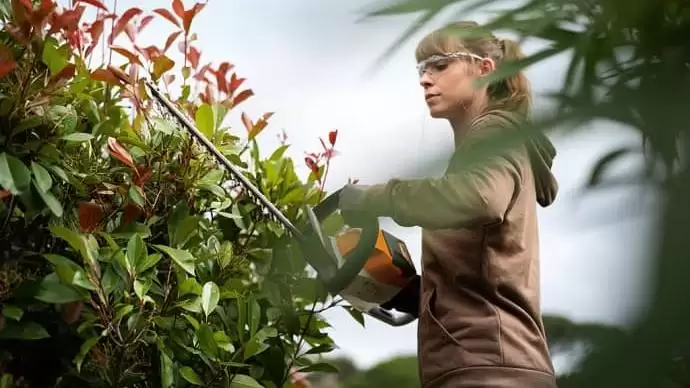 5 kora tavaszi teendő a kertben