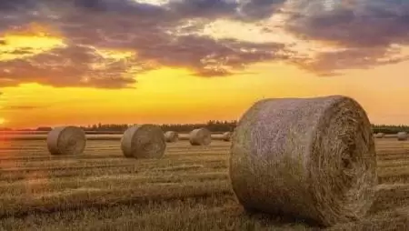 Körbálázó - Milyen típust vegyek?