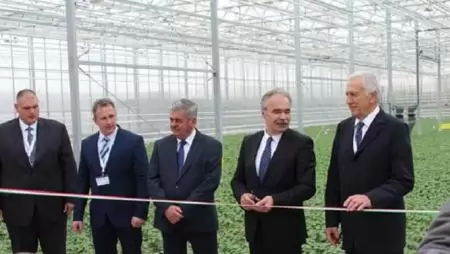 Fejleszteni vagy eltűnni a piacról…