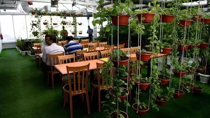 Mesébe illő: gyógyító a munkahely levegője