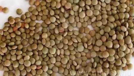 Új lencsefajták – ősszel vethetők