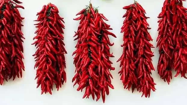 Új támogatás a szárítmány-előállítóknak