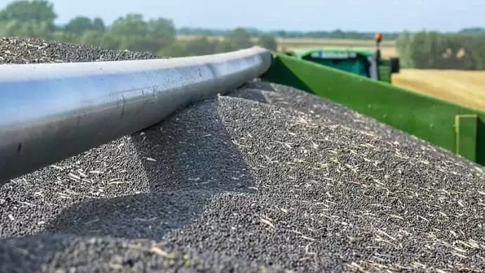 Kipergés-ellenálló hibridek a változó igényekhez