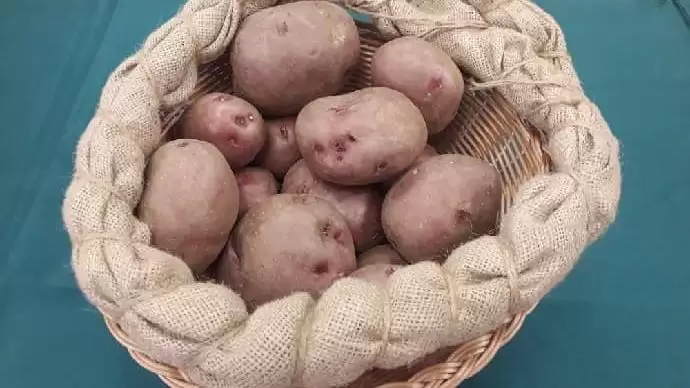 „A mikrogazdaságokban hiszek”