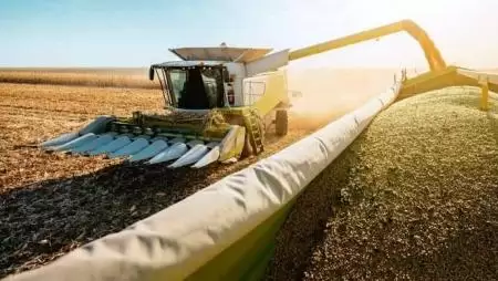 17,313 t/ha. Maradhat?