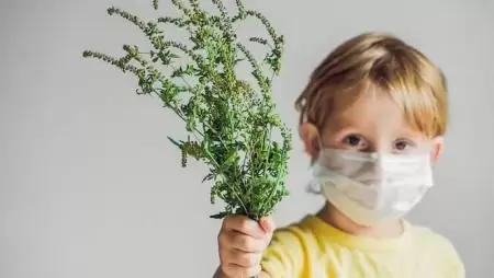 Kertes házban él? Akár 5 milliós büntetésre is számíthat, ha ezt elmulasztja