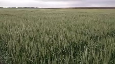 Megalakult a Nemzeti Agrár-tanácsadási Bizottság