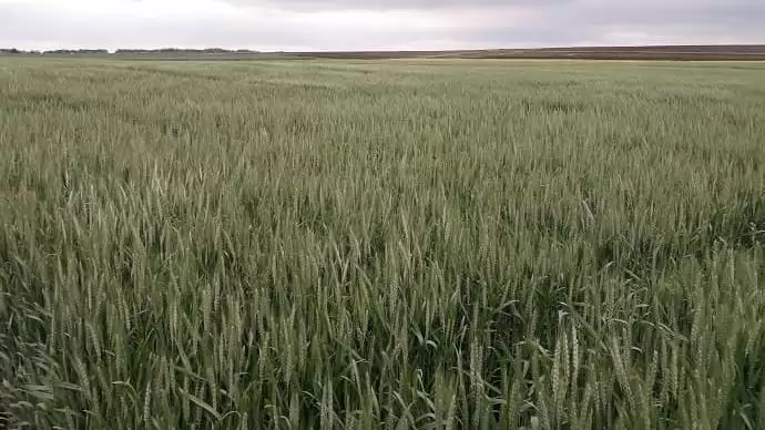 Megalakult a Nemzeti Agrár-tanácsadási Bizottság