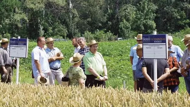 Fókuszban az alkalmazkodóképesség