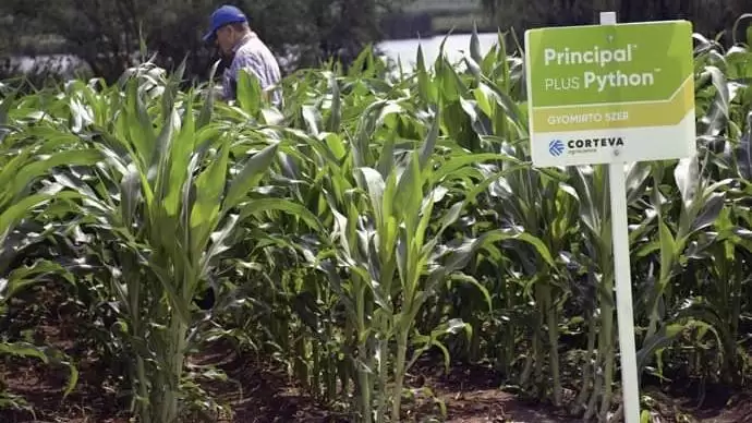 Újdonságok a nemesítésben  és a növényvédelemben